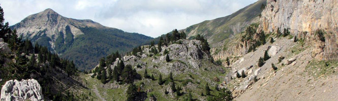 Pico Petrechena